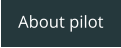 About pilot