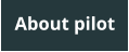 About pilot