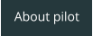 About pilot