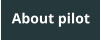 About pilot